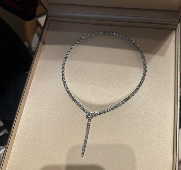 [⭐Glow]NEW！SERPENT DIAMOND NECKLACE